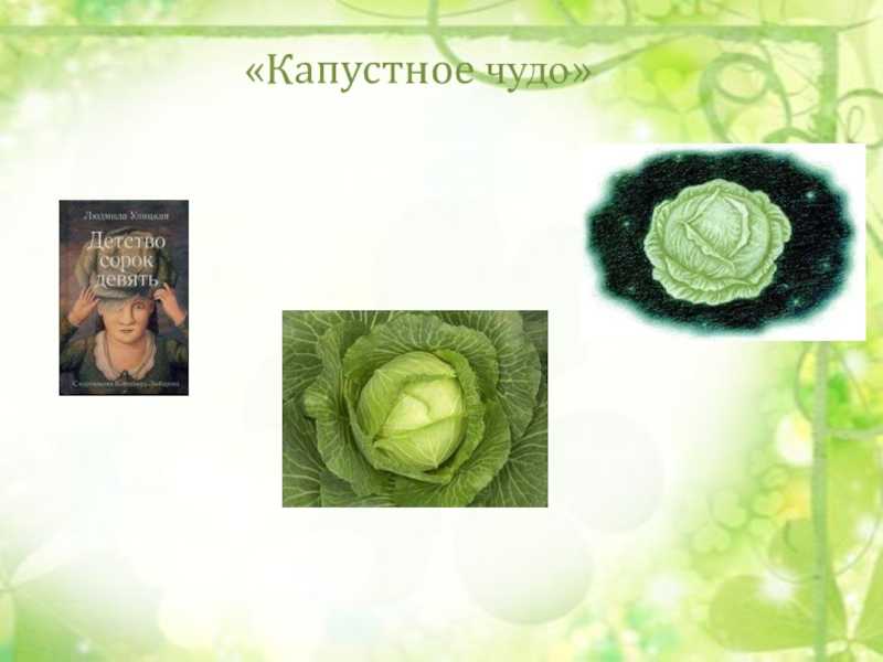 Трогательное, доброе и немножечко волшебное произведение под названием Капустное чудо написано русской писательницей Людмилой Евгеньевной Улицкой Краткое содержание данного рассказа представлено в этой статье