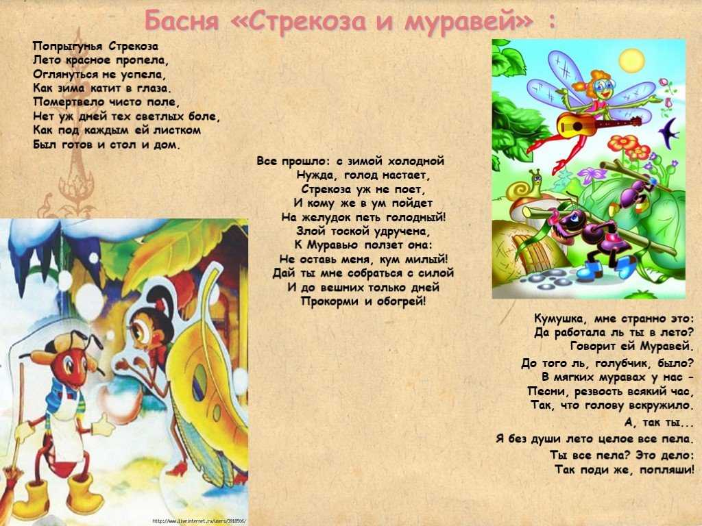 Доклад на тему рысь (из красной книги) сообщение (описание для детей)