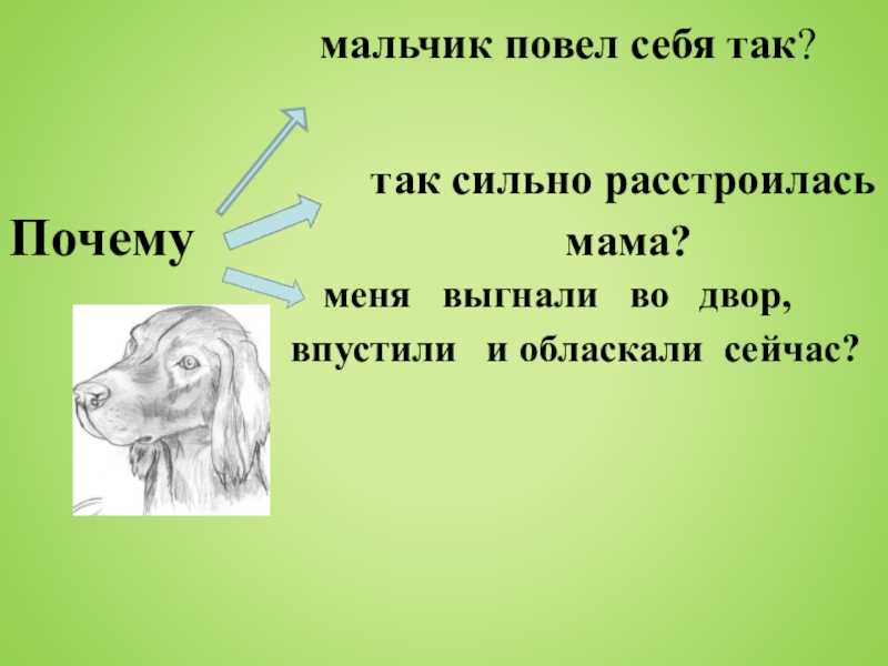Осеева «почему?»