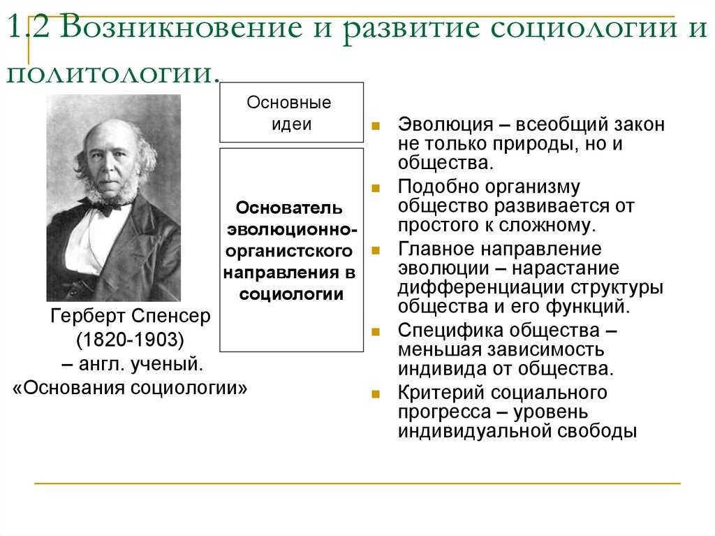 История - что это и зачем? суть познания прошлого. почему важно изучать историю? понять современное общество