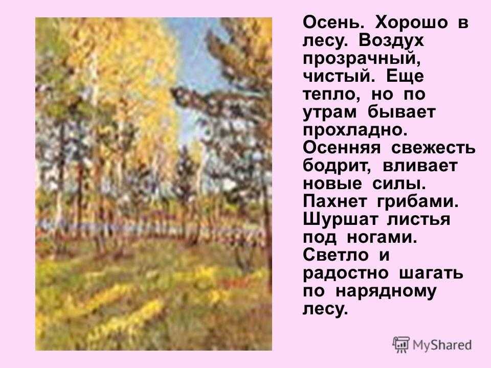 Сочинение на тему: лес (2 варианта и 14 похожих топиков)