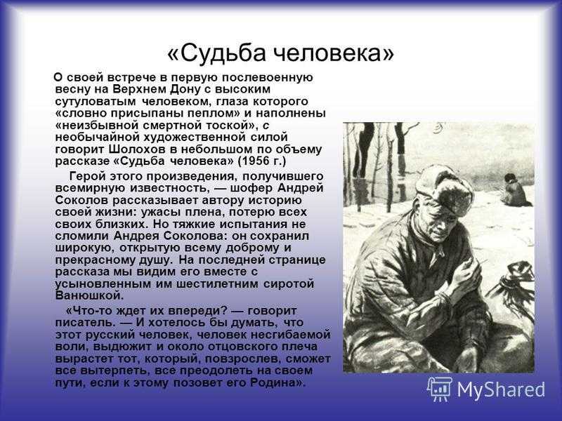 Анализ рассказа «судьба человека» (м.а. шолохов) | литерагуру
