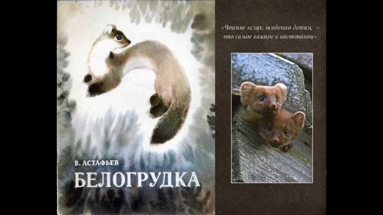 Мцыри свободолюбивый герой сочинение 8 класс - помощь в подготовке к экзаменам и поступлению