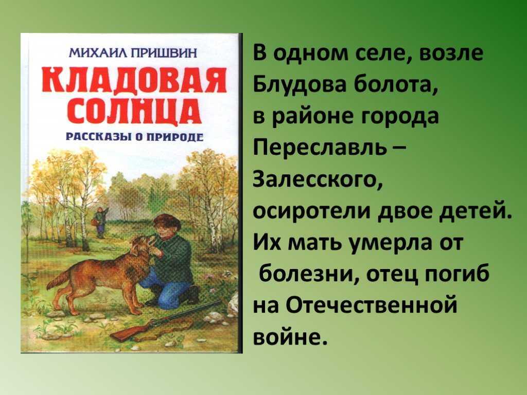 Testsoch.ru
