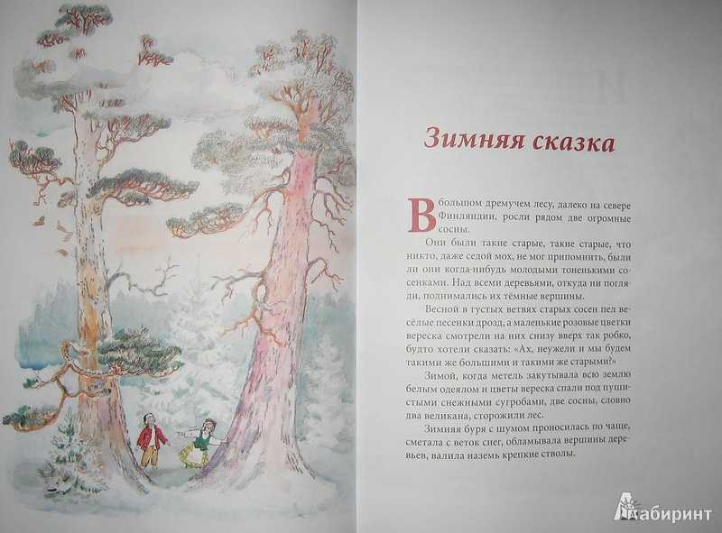Сочинение зимняя сказка (2, 3, 4, 5, 6, 7 класс)