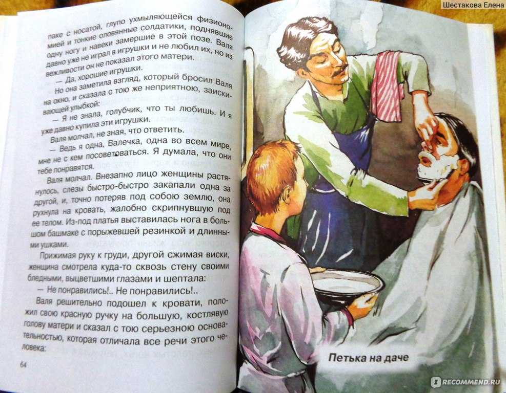 Анализ рассказа петька на даче андреева