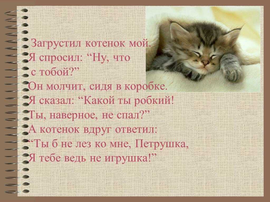 Сочинение на тему мой любимый домашний питомец