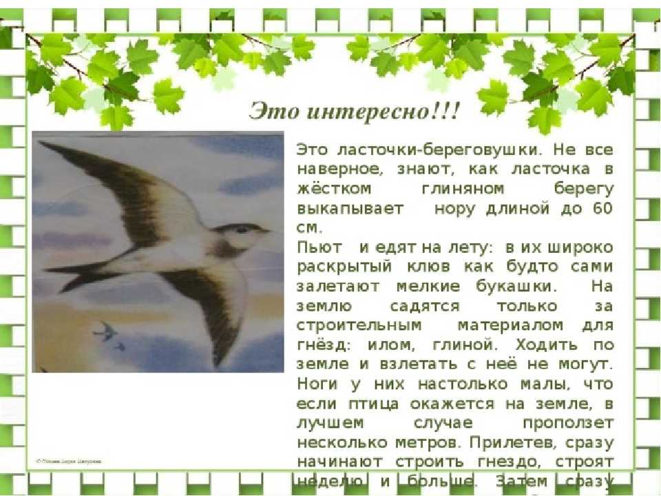 Эзоп басни краткое содержание для читательского дневника