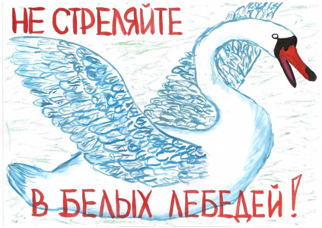 Анализ повести б. васильева 'не стреляйте в белых лебедей': основные темы и символы