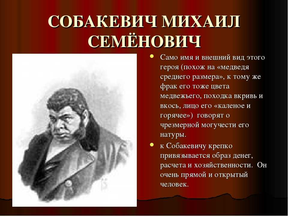 Характеристика собакевича