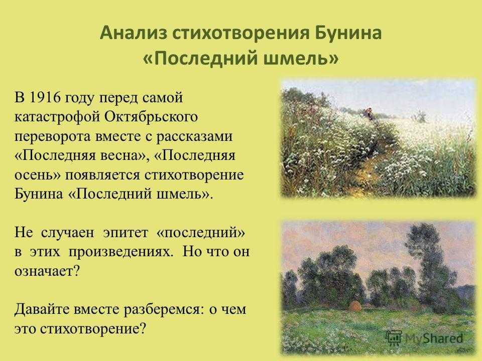 Книги открывающие нас сочинение зои анатольевны саниной