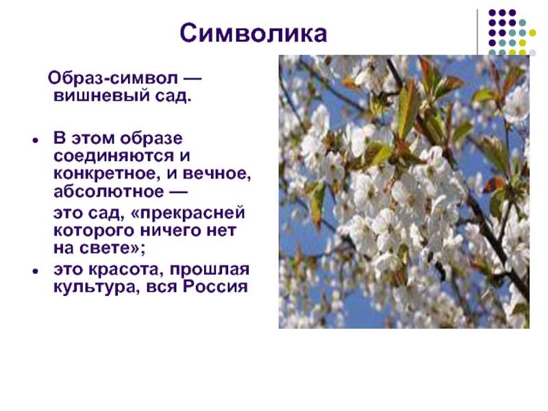 Анализ-сравнение рассказов л. андреева “бездна” и м. горького “страсти-мордасти”. сочинение. литература. 2009-01-12
