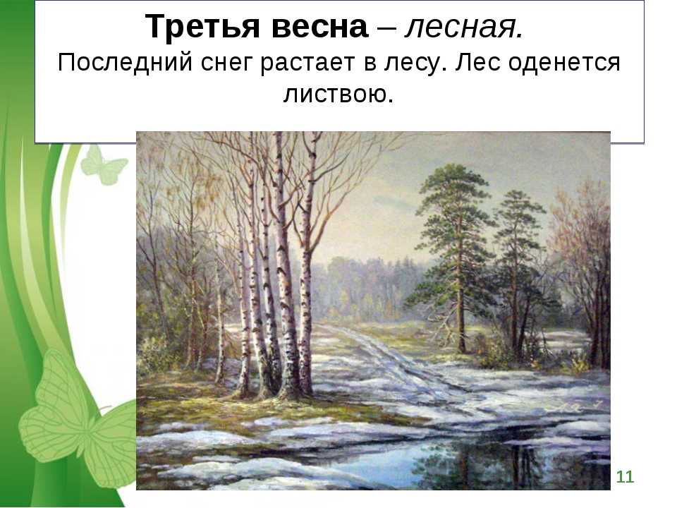 Прелестное время года весна в календаре природы