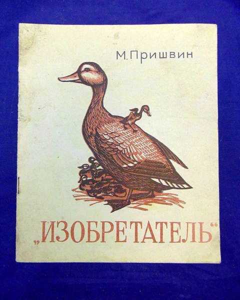 Репродуктивное поведение уток. сотворенная природа глазами биологов. поведение и чувство животных
