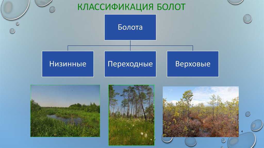 Написание и составление плана сказки "пришвин кладовая солнца"