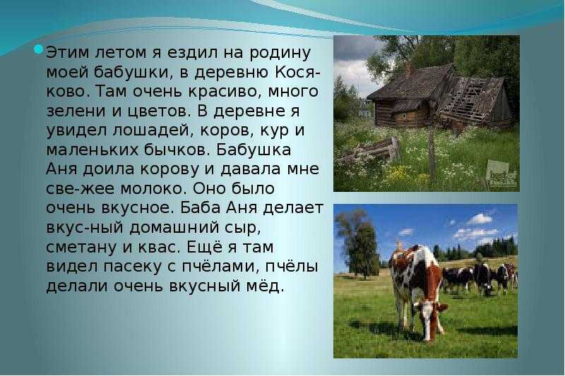 Авторское сочинение на тему лучший день лета 5 класс - сочинить.ру
