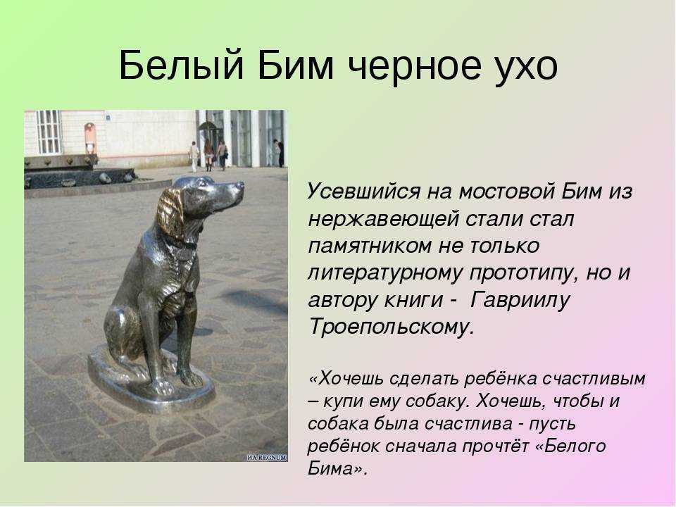 Читательский дневник «белый бим чёрное ухо» гавриила троепольского