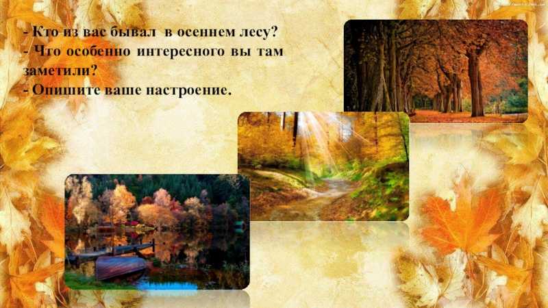 Рассказ про снежный лес. сочинение «зимний лес