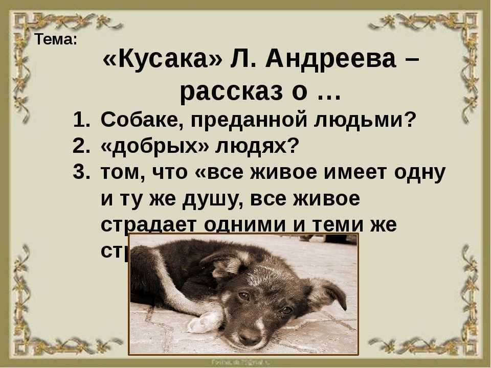 Л андреев кусака основная мысль. анализ произведения «кусака» андреева л.н