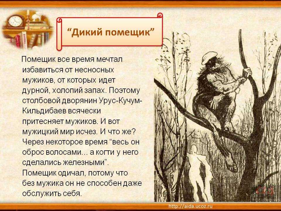Отношение автора к дикому помещику. анализ «дикий помещик» салтыков-щедрин. сочинение дикий помещик