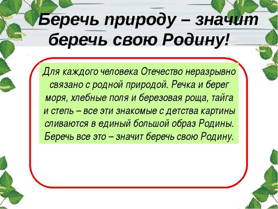 Как мы должны помочь природе. как я могу помочь природе (сочинение)