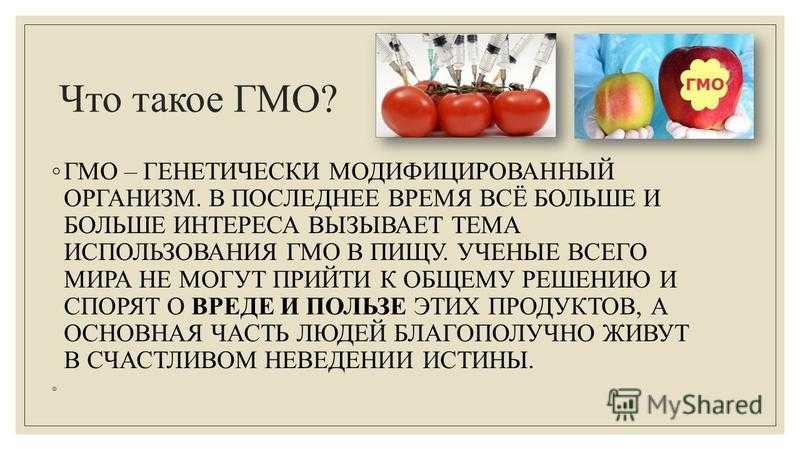 Мини сочинение на тему почему в обществе многие боятся трансгенных продуктов