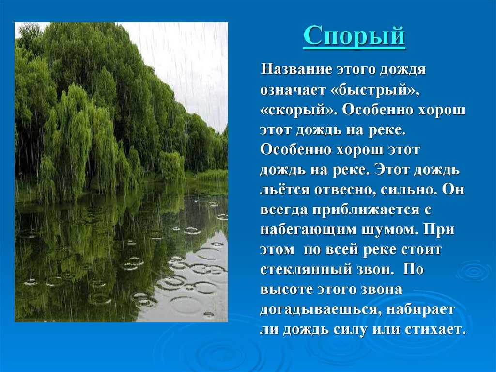 Дождь