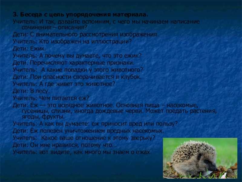 Сочинение на тему ежик 4 класс