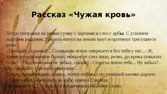 Сочинение примеры сострадания из жизни