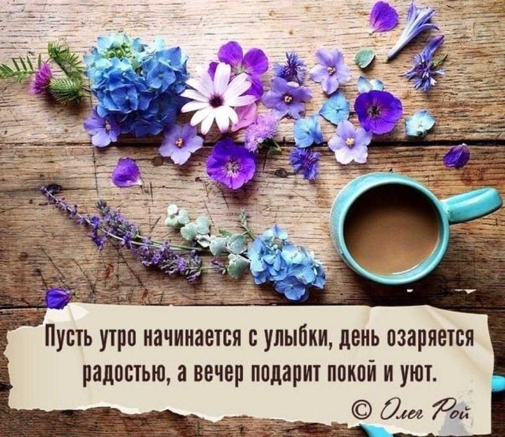 Сочинение на тему будущее начинается сегодня рассуждение - помощь в подготовке к экзаменам и поступлению