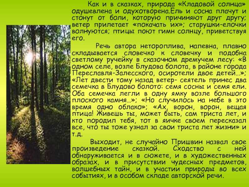 Testsoch.ru