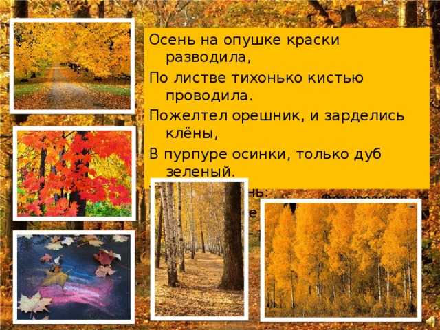 Сочинение на тему «описание осеннего леса. “описание осеннего леса” сочинение описание природы осенью в лесу