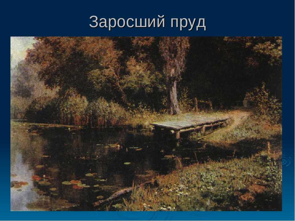 Сочинение-описание картины «заросший пруд», поленов (2 варианта - кратко и подробно)