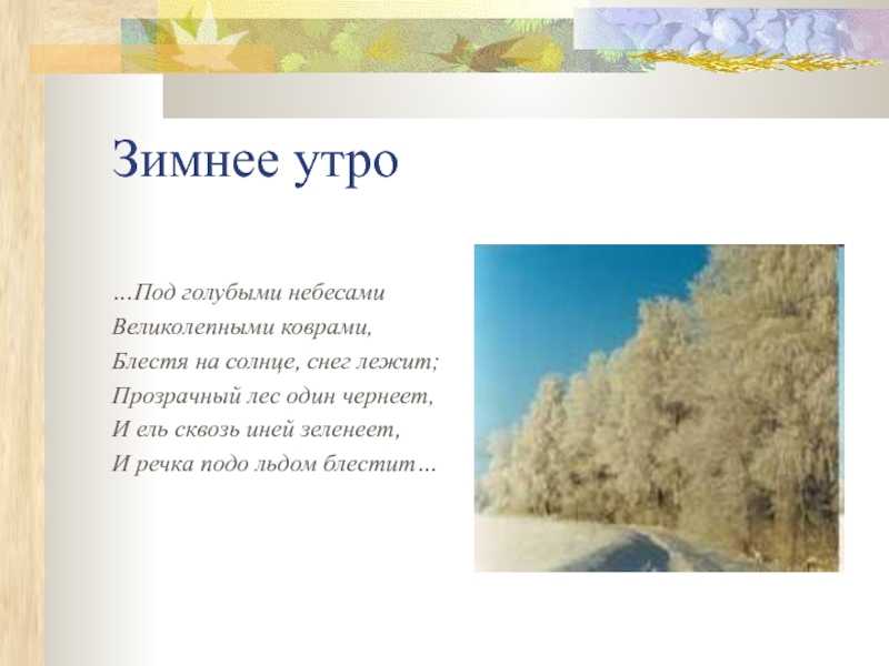 Сказки пушкина. универсальная хрестоматия. 4 класс